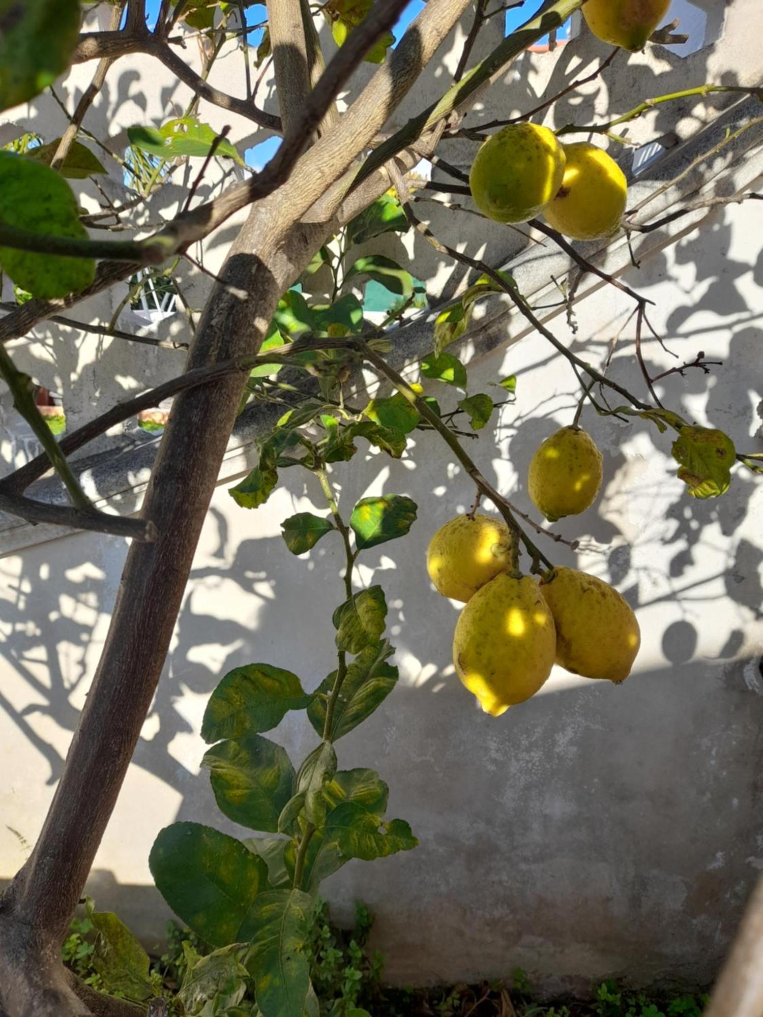 Villetta Da Fedro Leporano Esterno foto